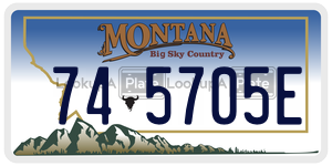 745705E  license plate in MT