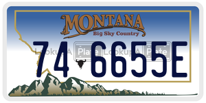746655E  license plate in MT