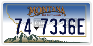 747336E  license plate in MT