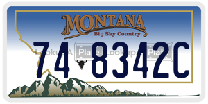 748342C  license plate in MT