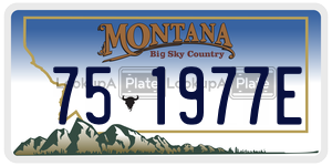 751977E  license plate in MT