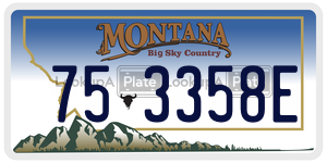 753358E license plate in Montana