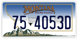 754053D  license plate in MT