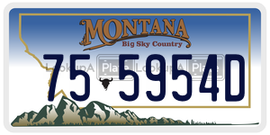 755954D  license plate in MT