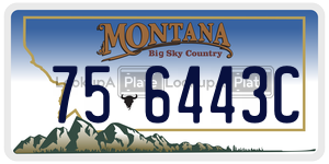 756443C  license plate in MT