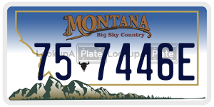 757446E  license plate in MT