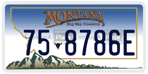 758786E  license plate in MT