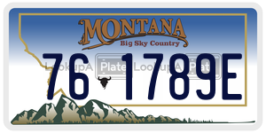 761789E license plate in Montana