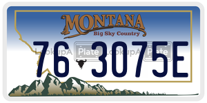 763075E  license plate in MT