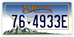 764933E  license plate in MT