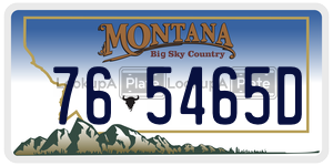 765465D license plate in Montana