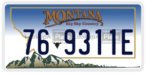 769311E  license plate in MT