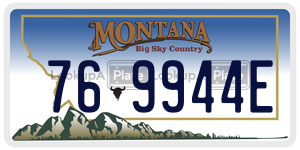 769944E  license plate in MT