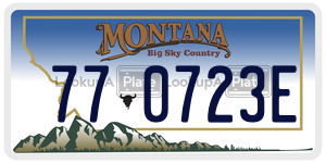 770723E  license plate in MT