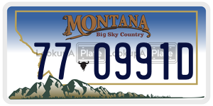 770991D  license plate in MT