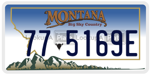 775169E  license plate in MT