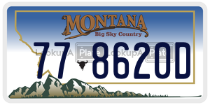 778620D  license plate in MT
