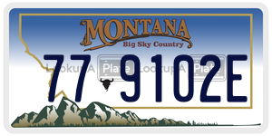 779102E  license plate in MT