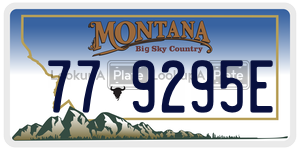 779295E  license plate in MT