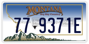 779371E  license plate in MT