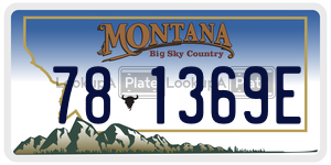 781369E  license plate in MT