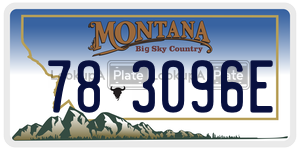 783096E  license plate in MT