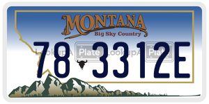 783312E  license plate in MT