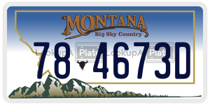 784673D  license plate in MT