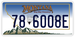 786008E  license plate in MT