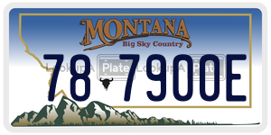 787900E  license plate in MT