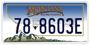 788603E license plate in Montana