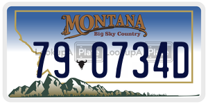 790734D  license plate in MT