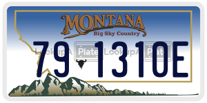 791310E  license plate in MT