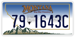 791643C  license plate in MT