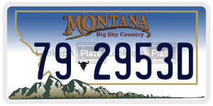 792953D  license plate in MT