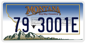 793001E  license plate in MT