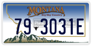 793031E  license plate in MT