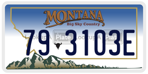 793103E  license plate in MT
