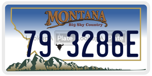 793286E  license plate in MT