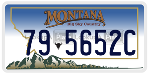795652C  license plate in MT