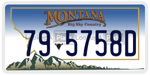 795758D  license plate in MT