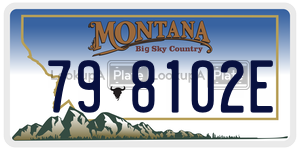798102E  license plate in MT