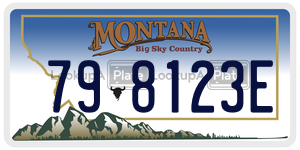 798123E  license plate in MT