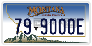 799000E  license plate in MT