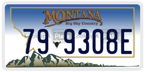 799308E  license plate in MT