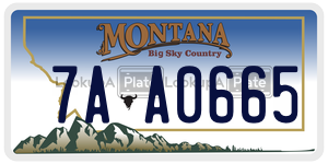 7AA0665  license plate in MT