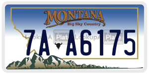7AA6175  license plate in MT