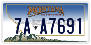 7AA7691  license plate in MT