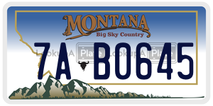 7AB0645  license plate in MT