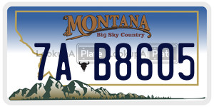 7AB8605  license plate in MT